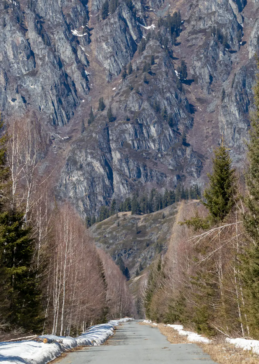 Дорога к Рахмановским ключам в Катон-Қарағае
